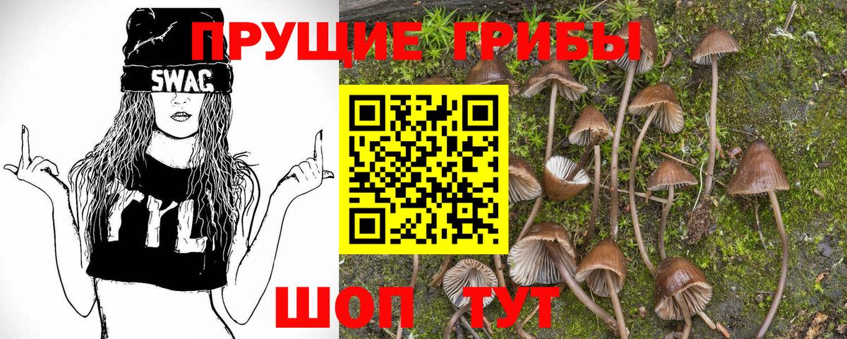 Псилоцибиновые грибы Cubensis Гусь-Хрустальный