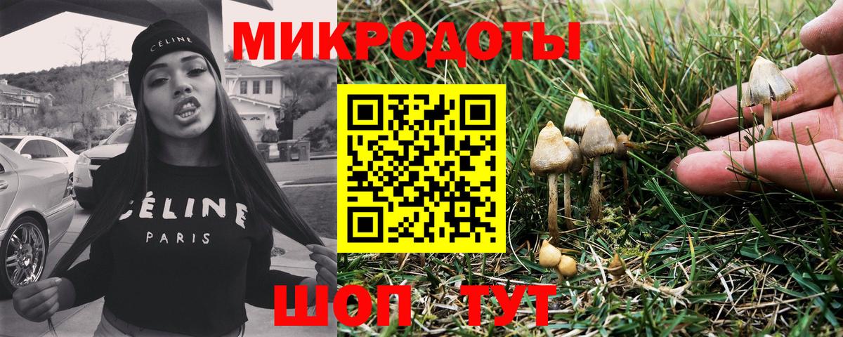 A-PVP Гусь-Хрустальный