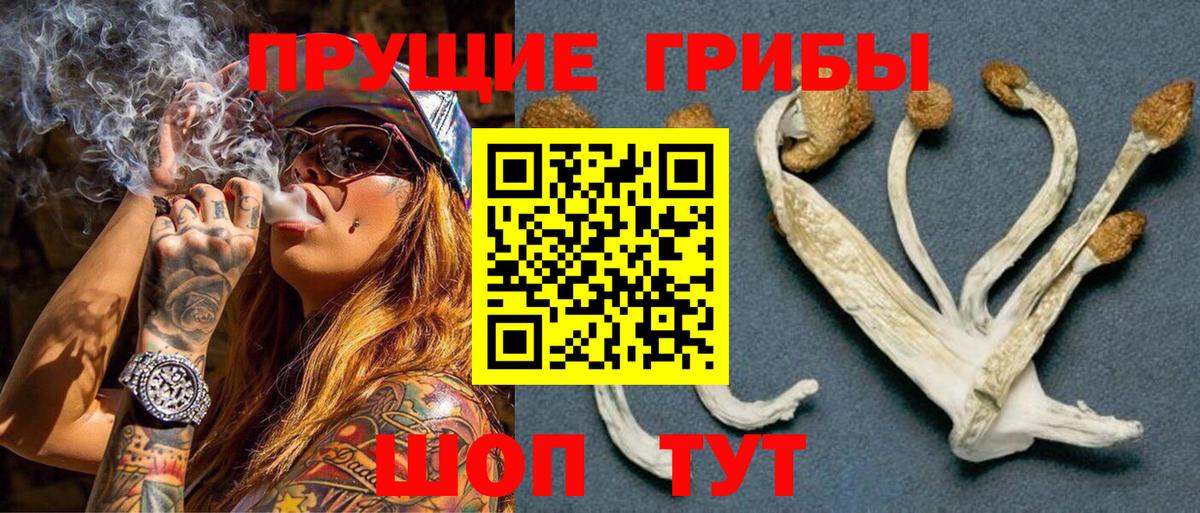 Гусь-Хрустальный  цена наркотик  Вход с VPN  Галлюциногенные грибы Magic Shrooms  Псилоцибиновые грибы Psilocybine cubensis 